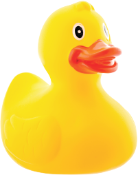Rubber Duck